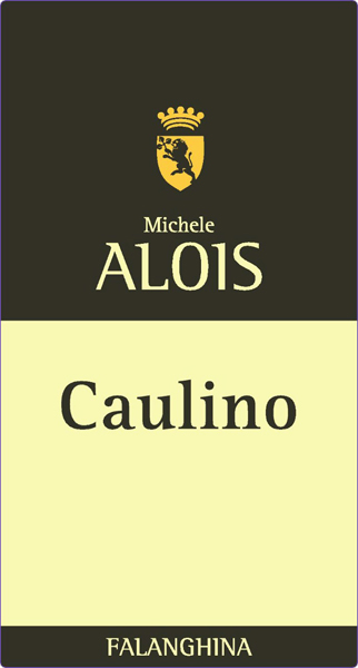 Michele Alois Falanghina Caulino 2022 Organic Chapel Hill